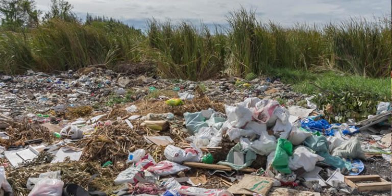 Serious Effects Of Plastic Pollution On Our Health Greentumble serious-effects-of-plastic-pollution-on-our-health-greentumble