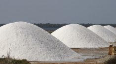 Solar-powered water desalination plant