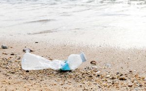 How big is human impact on the environment