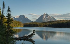 american environmental politics