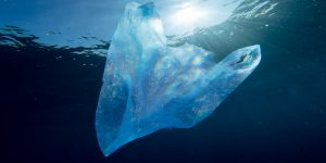 Reasons for banning plastic bags